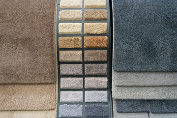 Colorful carpet samples in the store