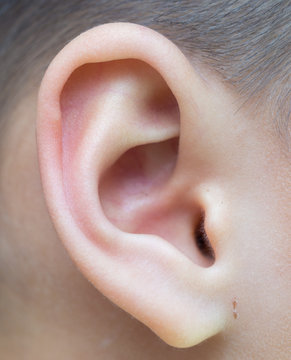 Close Up Of Male Ear. Child's Ear. Macro