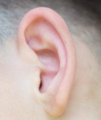 close up of male ear. child's ear. macro