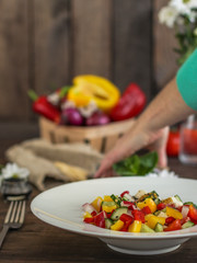 salad fresh vegetables (tomato, cucumber, radish, pepper, arugula and other vegetables). copy space. top