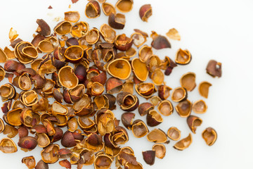 lot of pine nut peel on a white background