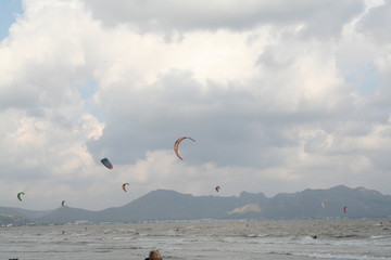 kite in the sky