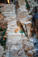 Cat on  stairs in  mountains of Petra