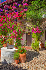 Fototapeta premium Ładne patio z kwiatami i stawem w Kordobie w Hiszpanii