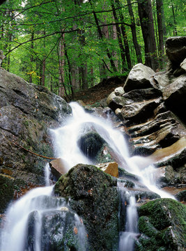 Biala Wiselka (source of Wisla river) near Wisla resort bellow Barania Gora hill, Beskid Slaski mountains. Poland