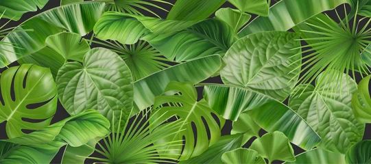 Tapeten Dschungellaub nahtloses Muster, realistischer Hintergrund des Vektors 3d © Natis