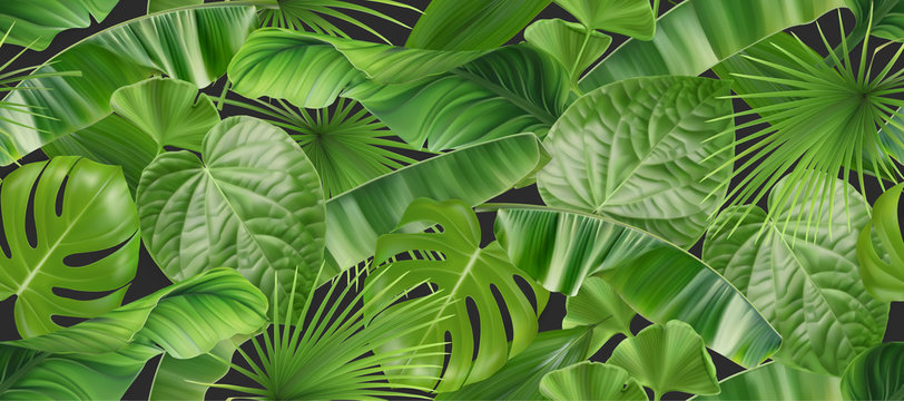 Jungle Foliage Seamless Pattern, 3d Vector Realistic Background