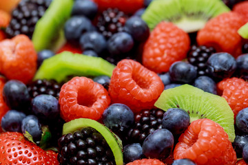Rich harvest of various mix of fresh fruits