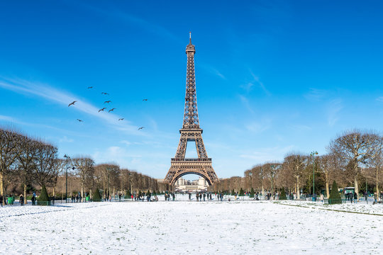 Fototapeta Eiffelturm im Winter, Paris, Frankreich