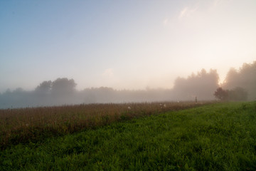 Fototapeta na wymiar Grassland field landscape at foggy morning