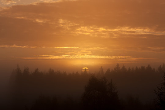Fototapeta Early foggy morning sunrise above forest landscape