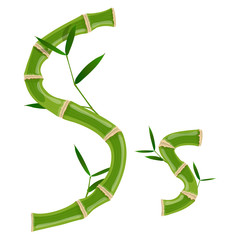 Bamboo letter S