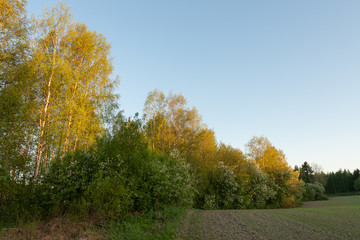 Sunrise at countryside in Finland