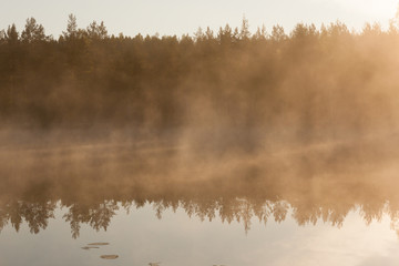 Forest lake landscape summer sunrise in Finland