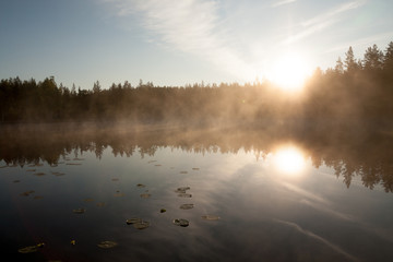 Obraz na płótnie Canvas Forest lake landscape summer sunrise in Finland