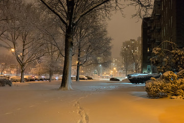 Brooklyn under snow evening NY