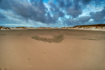 Dunes on the North Frisian Island Amrum in Germany