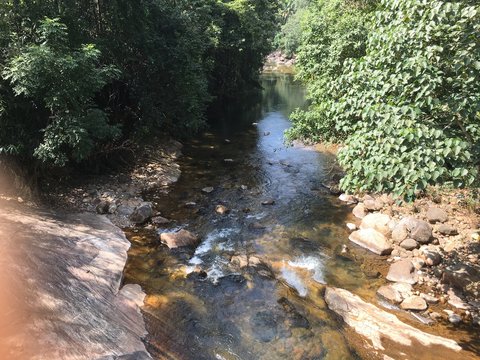 Ponmudi Hills Kerala