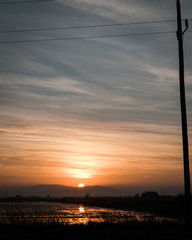Imagen del atardecer en los campos de arroz en el Delta del Ebro en Tarragona