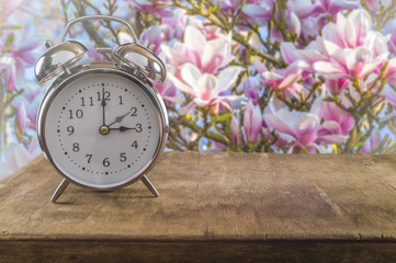 Summer time concept. Old alarm clock against a beautiful blossoming magnolia tree.
