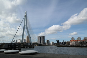 Rotterdam, Nieuwe Maas, Erasmus Bridge