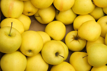 yellow apples in the market