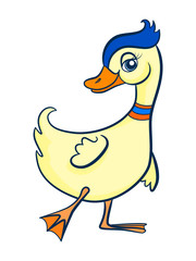 Duck. Figure stylized cartoon style. Isolated background. Vector