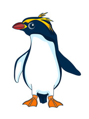 Penguin. Figure stylized cartoon style. Isolated background. Vector