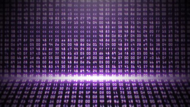 Purple Programming HEX Code