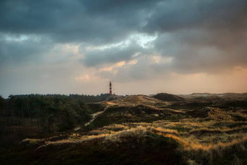Dunes on the North Frisian Island Amrum in Germany