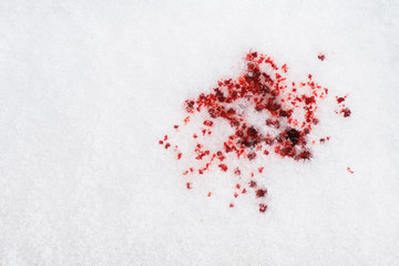 Red blood drops on white snow background