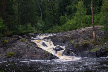 waterfall in forest