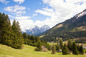 View of the majestic Zugspitze mountain from the alp meadows of Lähn, Tyrol, Austria.