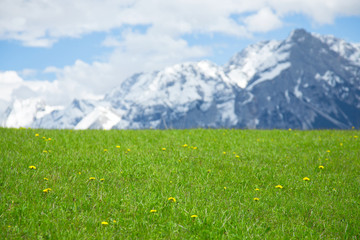 Fototapeta na wymiar Beautiful alp meadows with stellar views on the hills and the Zugspitze mountain range near Lähn, Tyrol, Austria.