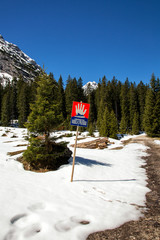 Fototapete bei efototapeten.de bestellen   