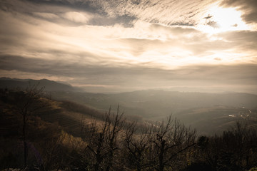 beautiful vineyard terraces in goriska brda in wintertime sunlight, slovenia