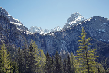 Spring landscape with pine tree forests and snowcapped mountains in Ehrwald, Tirol, Austria.