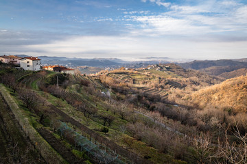 beautiful vineyard terraces in goriska brda in wintertime sunlight, slovenia