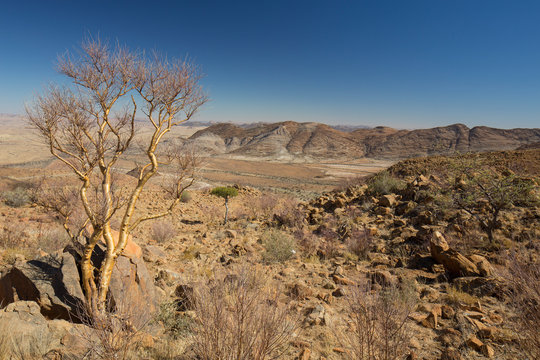 Namibia Sesriem Sossusvlei