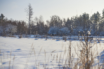 Old fence in a field near the forest in winter