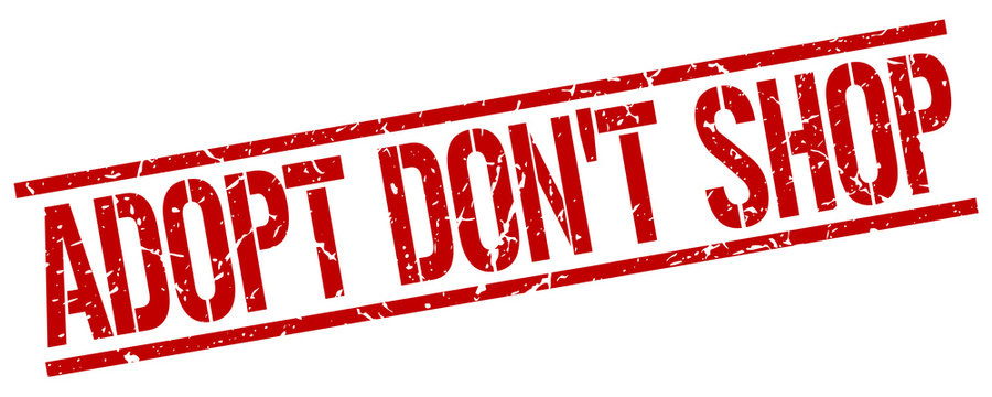 adopt don't shop red grunge square vintage rubber stamp