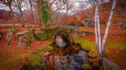 Ponte de pedra no bosque