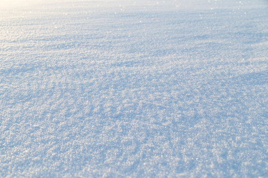 Fresh shiny snow on the ground on a sunny day, good as a winter season background. Shallow depth of field.