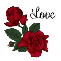 Valentines day rose red with sign love. Beautiful greeting vector background.