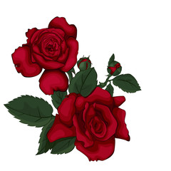 Red roses.