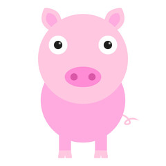 cartoon pig. Flat design