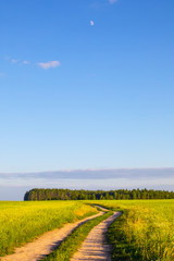Fototapeta na wymiar Beautiful summer landscape with road to the horizon and forest on a sunny day