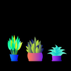 Flat plant. Indoor. Flower pots. Leaves. Foliage. Trendy vector collection. Potted plant. Garden. Jungle. Flat design. Gradient colors. Outdoor. Tropical.