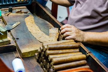 Traditional manufacture of cigars at the tobacco factory. Closeup of old hands making a cigar from...