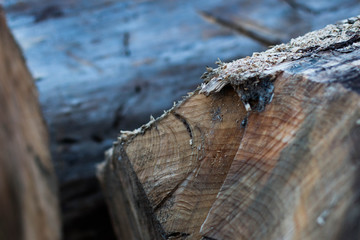 Wood